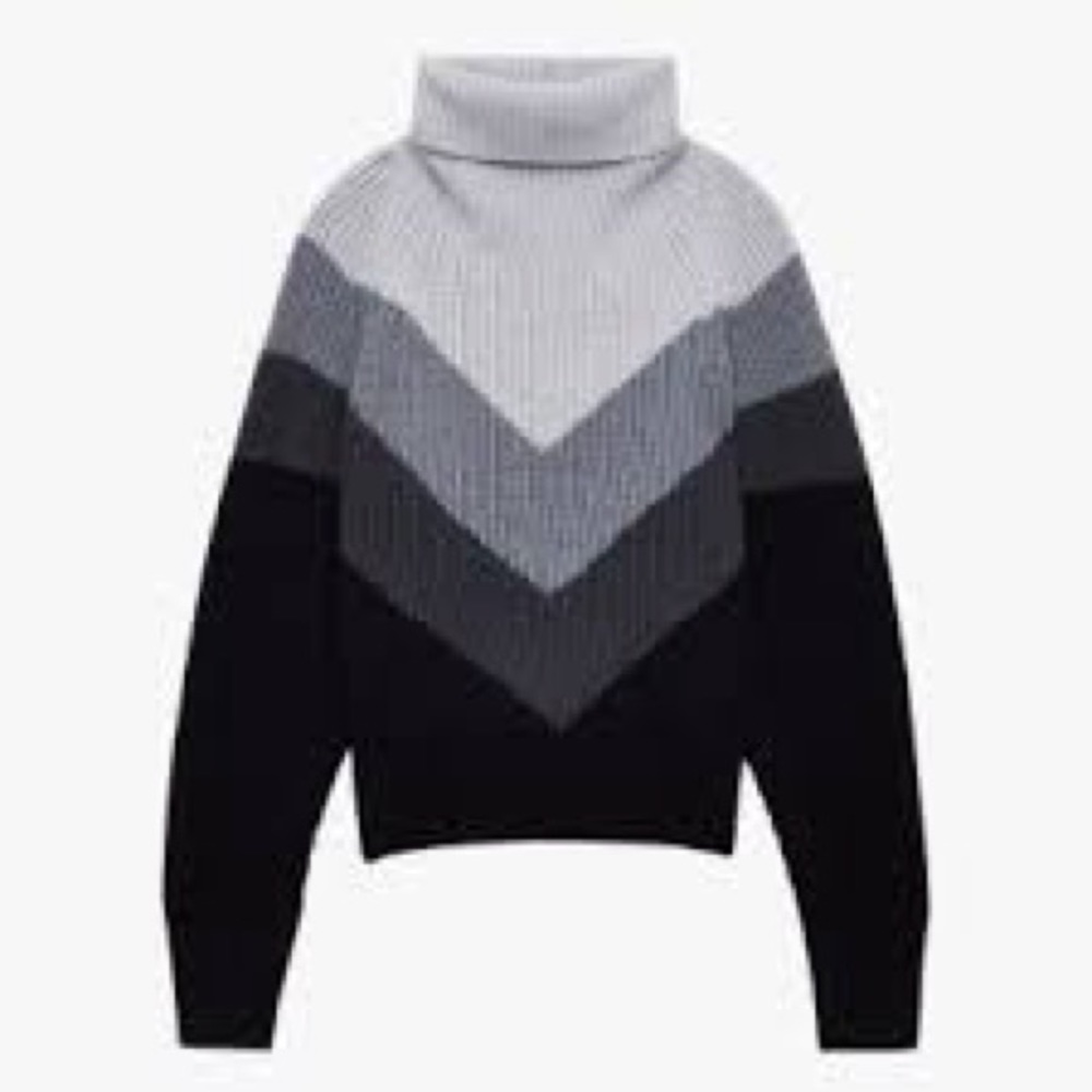 COPY - WILFRED FREE Turtleneck